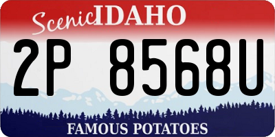 ID license plate 2P8568U