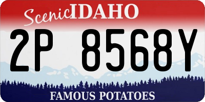 ID license plate 2P8568Y