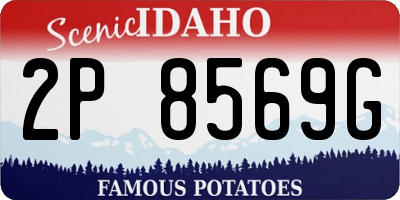 ID license plate 2P8569G