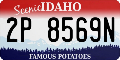 ID license plate 2P8569N