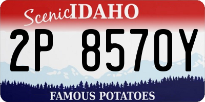ID license plate 2P8570Y