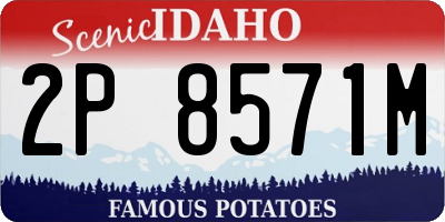 ID license plate 2P8571M