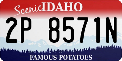 ID license plate 2P8571N