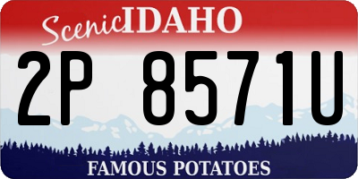 ID license plate 2P8571U