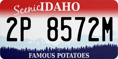 ID license plate 2P8572M