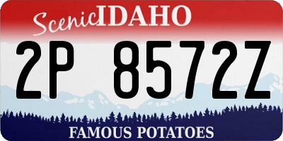 ID license plate 2P8572Z