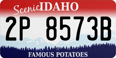 ID license plate 2P8573B