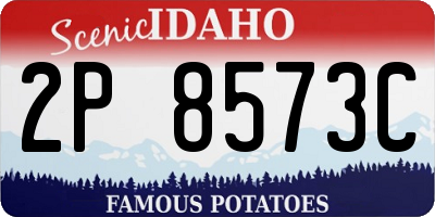 ID license plate 2P8573C