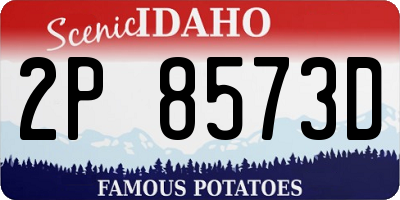 ID license plate 2P8573D