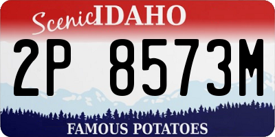 ID license plate 2P8573M