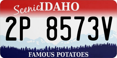ID license plate 2P8573V