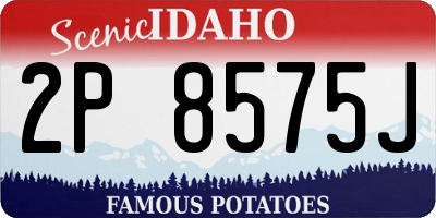 ID license plate 2P8575J