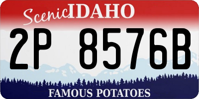 ID license plate 2P8576B