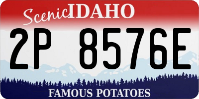ID license plate 2P8576E