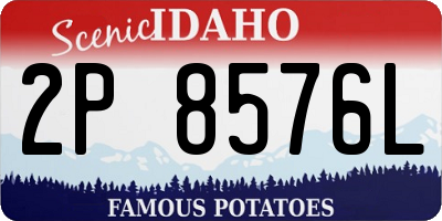 ID license plate 2P8576L