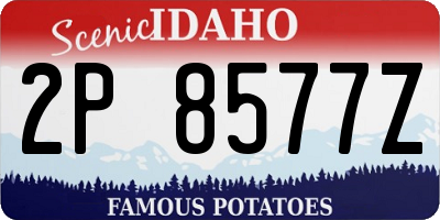 ID license plate 2P8577Z