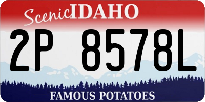 ID license plate 2P8578L