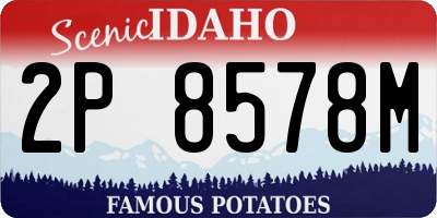 ID license plate 2P8578M