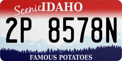 ID license plate 2P8578N