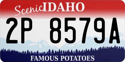 ID license plate 2P8579A