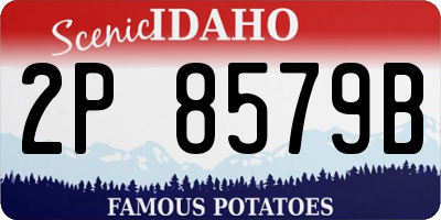 ID license plate 2P8579B