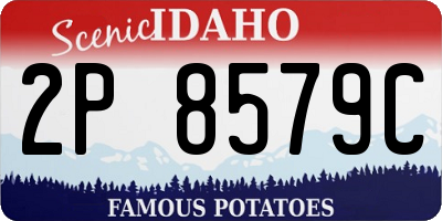 ID license plate 2P8579C