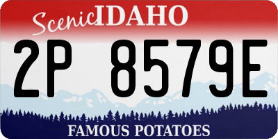 ID license plate 2P8579E