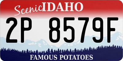ID license plate 2P8579F