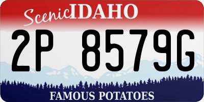 ID license plate 2P8579G