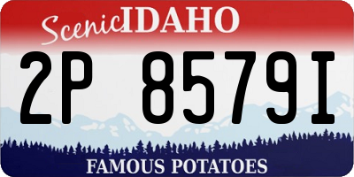 ID license plate 2P8579I