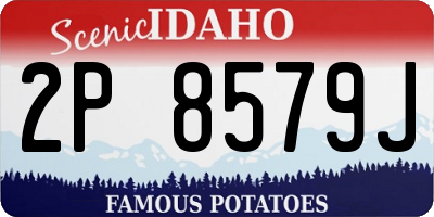 ID license plate 2P8579J