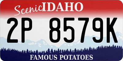 ID license plate 2P8579K