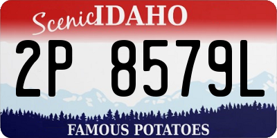 ID license plate 2P8579L