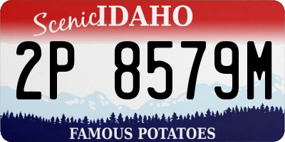 ID license plate 2P8579M