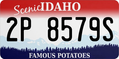 ID license plate 2P8579S