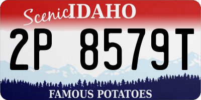 ID license plate 2P8579T