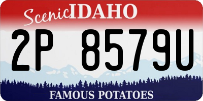 ID license plate 2P8579U