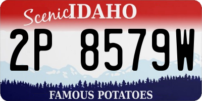 ID license plate 2P8579W