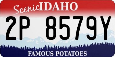 ID license plate 2P8579Y
