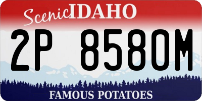 ID license plate 2P8580M
