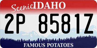ID license plate 2P8581Z