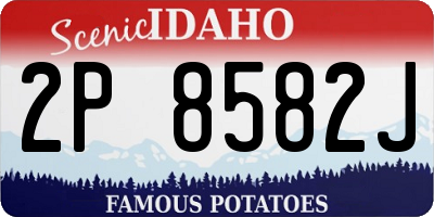 ID license plate 2P8582J