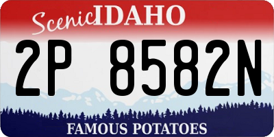 ID license plate 2P8582N