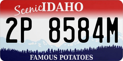 ID license plate 2P8584M