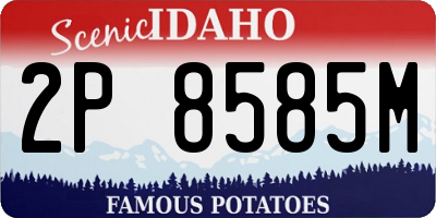 ID license plate 2P8585M