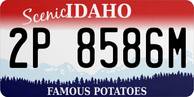 ID license plate 2P8586M