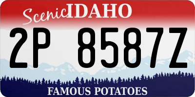 ID license plate 2P8587Z