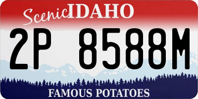 ID license plate 2P8588M
