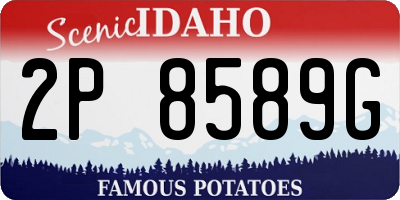 ID license plate 2P8589G