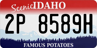 ID license plate 2P8589H